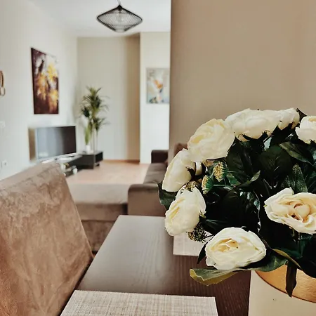 Cozy Rooftop - Your Home, Away From Home! * Tirana